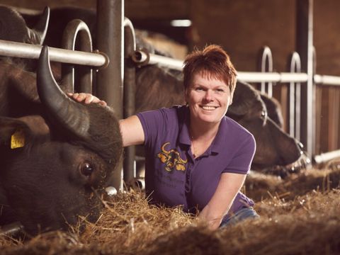 Vodatent Camping de Waterbuffelfarm  - Camping Steenwijkerland - Image N°4