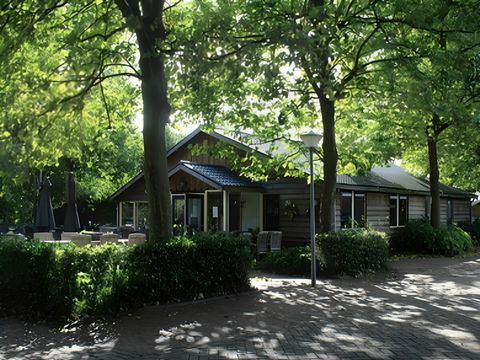 Vodatent Camping de Zwammenberg  - Camping Loon op Zand - Image N°4