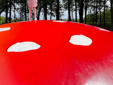 Vodatent Camping de Zwammenberg  - Camping Loon op Zand - Image N°5