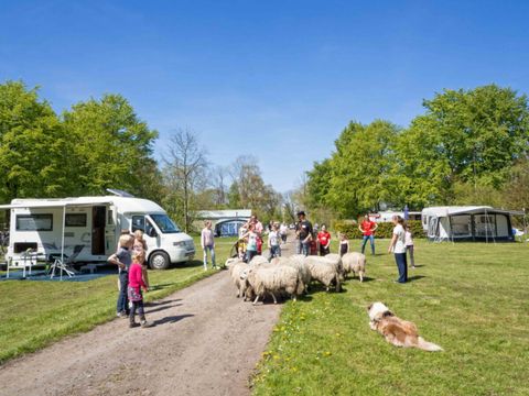 Vodatent Landgoedcamping Nienoord - Camping Westerkwartier