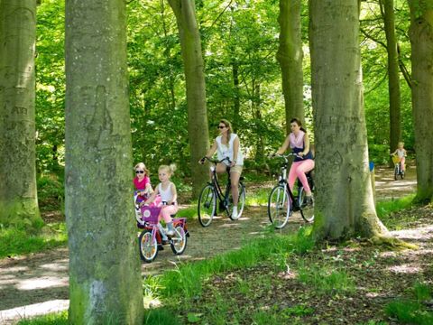 Vodatent Landgoedcamping Nienoord - Camping Westerkwartier