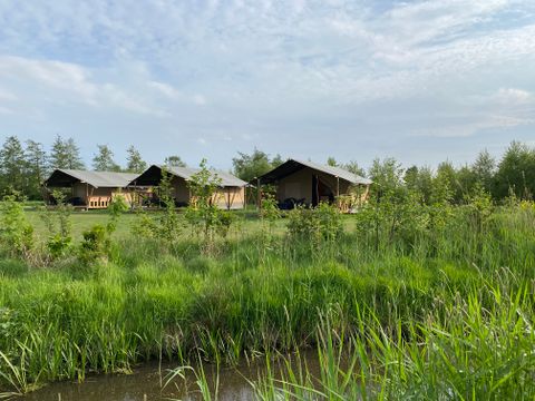 Vodatent Natuurlijk de Veenhoop - Camping Smallingerland - Image N°4