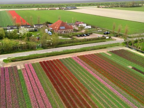 Vodatent Camping de Tulpenweide - Camping Hollands Kroon