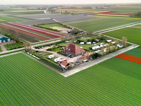 Vodatent Camping de Tulpenweide - Camping Hollands Kroon