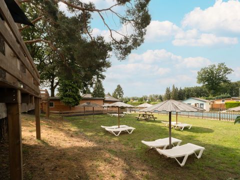 Recreatiepark Maas en Bos - Camping Bergen - Image N°3