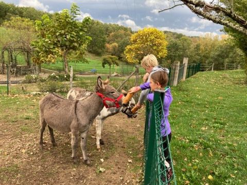 Vodatent Camping Fargogne - Camping Tarn-et-Garonne - Image N°3