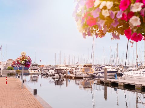 Summio Marina Port Zelande  - Camping Goeree-Overflakkee - Image N°5