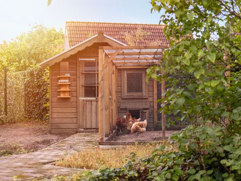 Summio Vakantiepark De Riethorst - Camping Mook en Middelaar