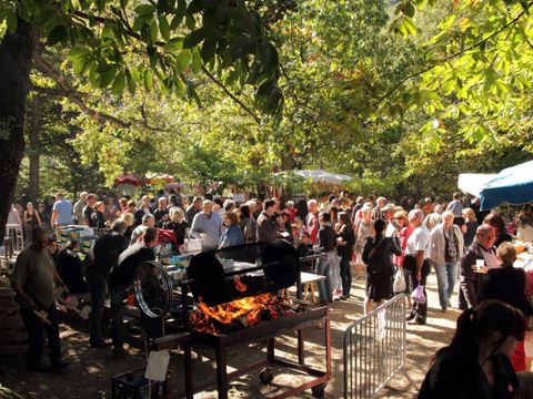 Vodatent Camping Le Rotja - Camping Pyrénées-Orientales - Image N°4