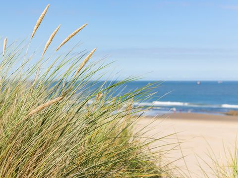 Roompot Strandpark Zeeland - Camping Vlissingen - Image N°3