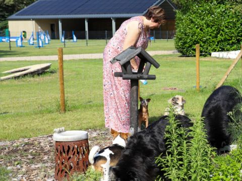 Buitengoed Erve Raewyck - Camping Hardenberg - Image N°4