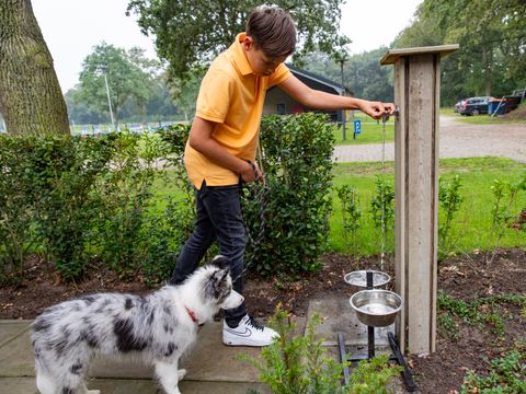 Buitengoed Erve Raewyck - Camping Hardenberg
