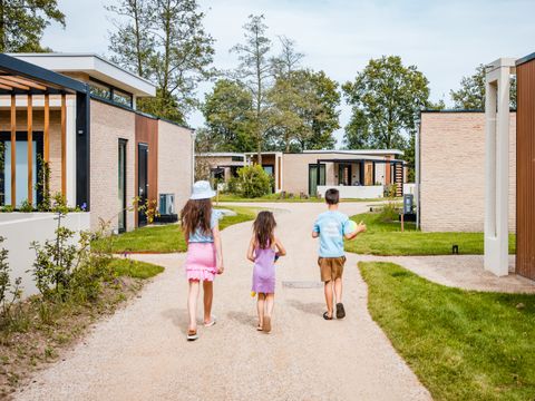 Camping het Beloofde Land - Camping Barneveld - Image N°12