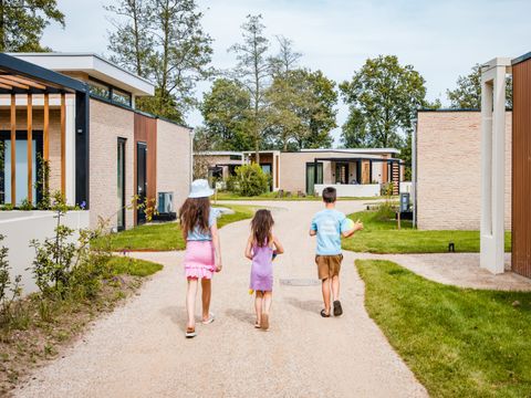 Camping het Beloofde Land - Camping Barneveld - Image N°7