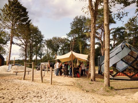 Roodewoud - Camping Aa en Hunze - Image N°3