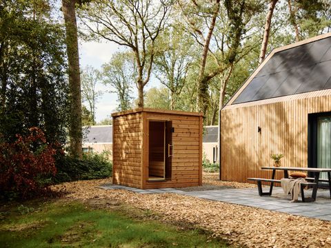 Roodewoud - Camping Aa en Hunze - Image N°5