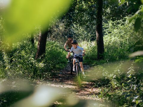 Resort Valley - Camping Ede - Image N°17