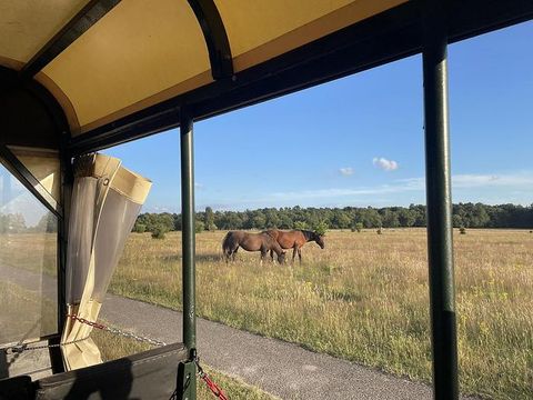 Resort Valley - Camping Ede - Image N°22