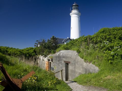 Landal Fyrklit - Camping North Jutland - Image N°18