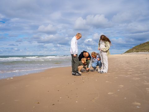 Landal Fyrklit - Camping North Jutland - Image N°14