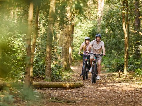 Landal Søhøjlandet - Camping Jutland-Central
