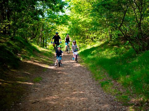 Landal Seawest - Camping Danemark du Sud