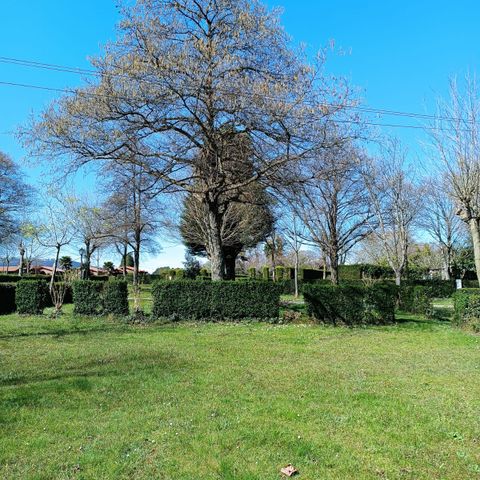 Wecamp Cudillero - Camping Asturies - Image N°6