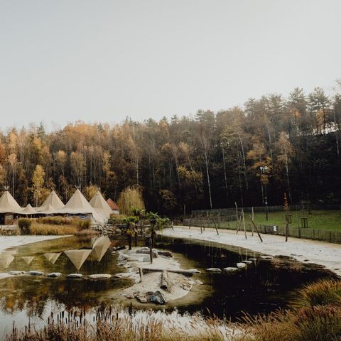 Warredal - Camping Limburg Belge - Image N°4