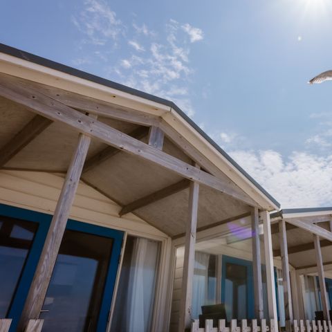 Roompot Strandhuisjes Wijk aan Zee - Camping Beverwijk - Image N°3