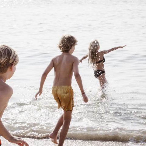 Landal Strandhuisjes Julianadorp - Camping Den Helder - Image N°5