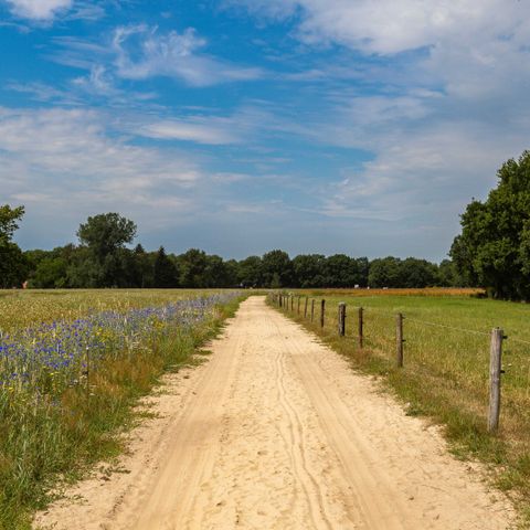 Camping de Kleine Wereld - Camping Ommen - Image N°2