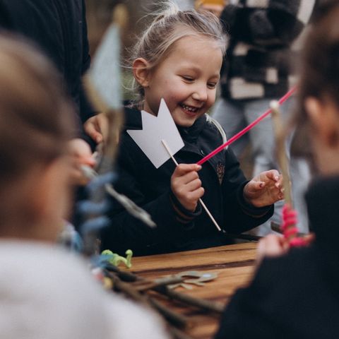 Camping de Kleine Wereld - Camping Ommen - Image N°2