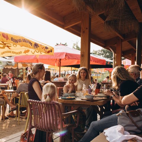 Camping de Kleine Wereld - Camping Ommen - Image N°6