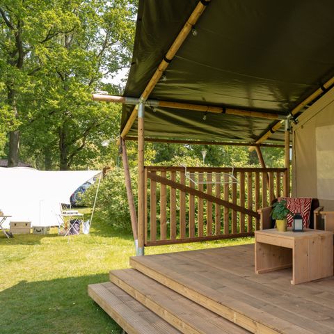 TENTE TOILE ET BOIS 6 personnes - Forest Lodge avec sanitaires