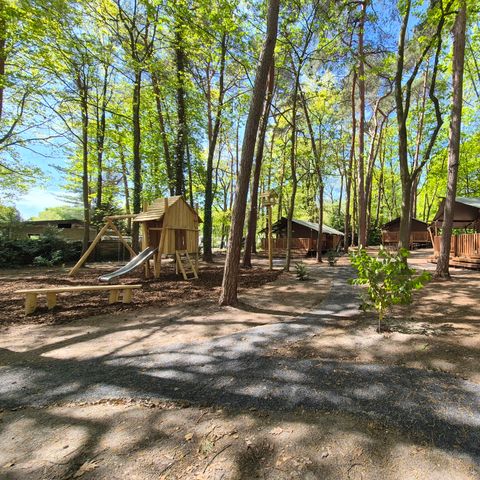 Tente en toile et en bois 6 personnes - Forest Lodge avec sanitaires