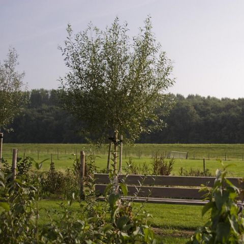 Oosterscheldepark de Stelhoeve - Camping Kapelle - Image N°6