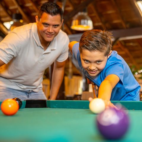 Landal Landgoed Bourtange - Camping Westerwolde - Image N°4