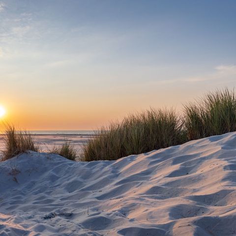 Skylgerduin - Camping Terschelling - Image N°2
