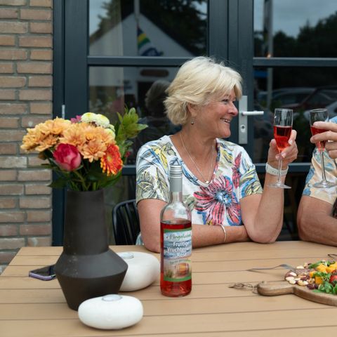 Skylgerduin - Camping Terschelling - Image N°6