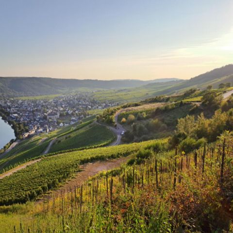 Vodatent Paradies Camp - Camping Rhénanie-Palatinat - Image N°2