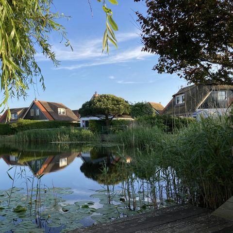 Bungalowpark de Buitenplaats - Camping Schagen - Image N°4