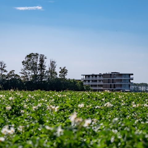 Veerse Wende - Camping Middelburg - Image N°4