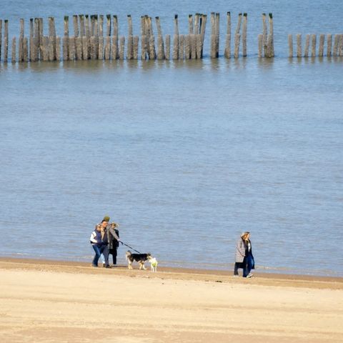 Dormio Breskens Apartments & Penthouses - Camping Sluis - Image N°5