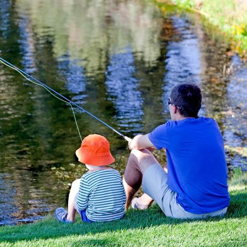 Camping Zavelbos - Camping Limburg Belge - Image N°5