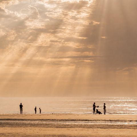 MarinaPark Residentie Bloemendaal - Camping Bloemendaal - Image N°4