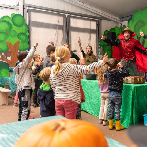 Wilsumer Berge - Camping Basse-saxe - Image N°6