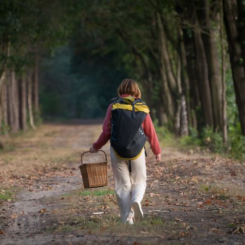 BUNGALOW 4 personnes - Refuge pour randonneurs