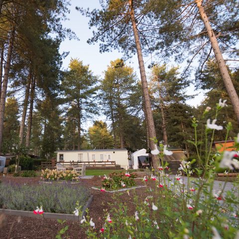 BUNGALOW 6 personnes - Cabane de randonneur grande