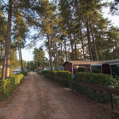 Arden Parks Tulderheyde - Camping Anvers - Image N°2