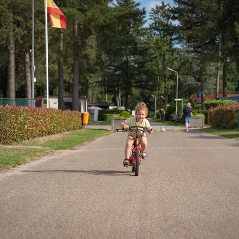 Arden Parks Tulderheyde - Camping Anvers - Image N°4